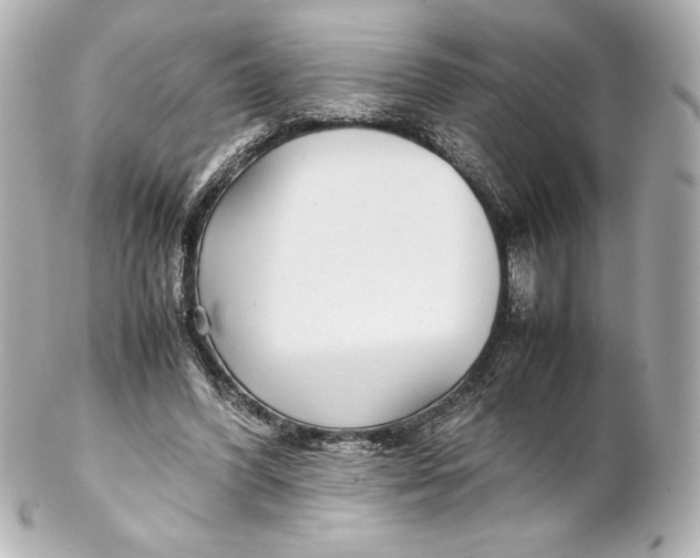 X0000102270396200808151909