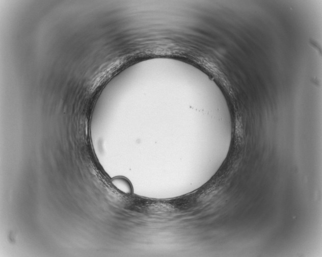 X0000102270397200808151909