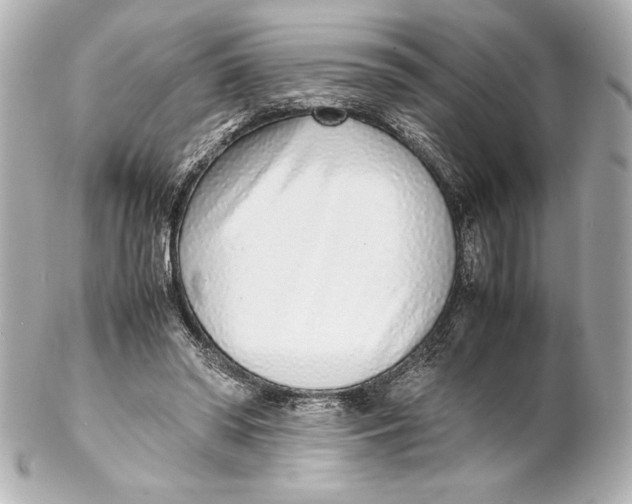 X0000102270398200808151909