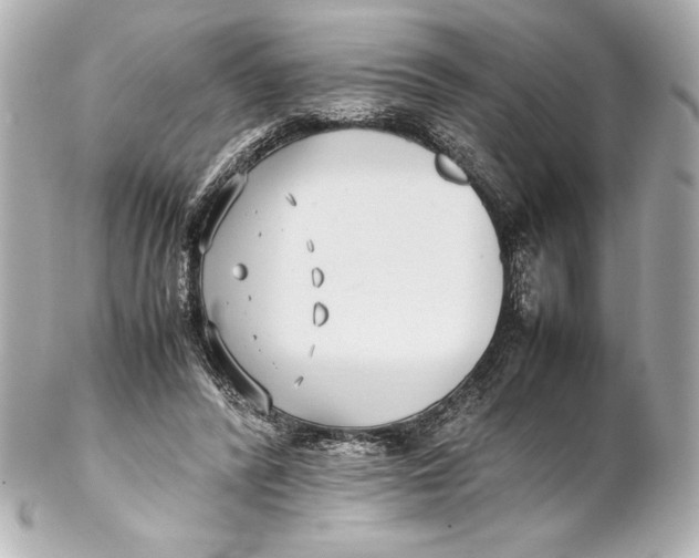 X0000102270400200808151909