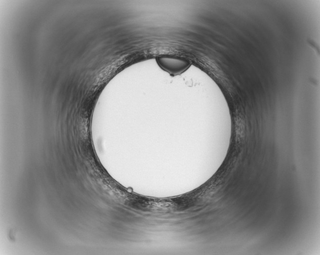 X0000102270401200808151909