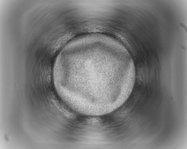 X0000102270402200808151909