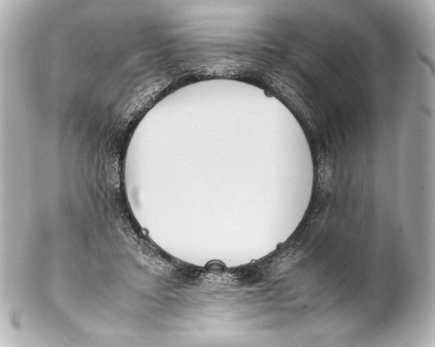 X0000102270403200808151909