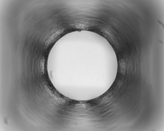 X0000102270404200808151909