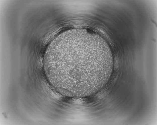 X0000102270405200808151909