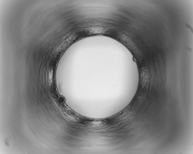 X0000102270406200808151909