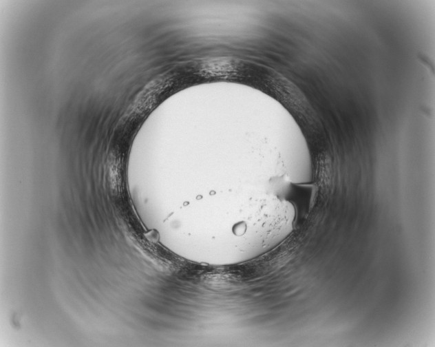 X0000102270408200808151909