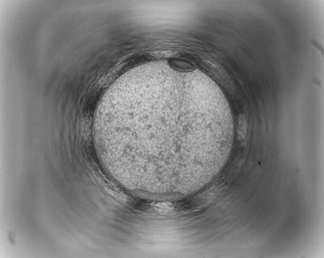 X0000102270409200808151909