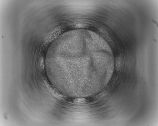 X0000102270410200808151909