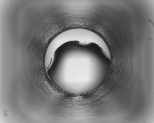 X0000102270411200808151909