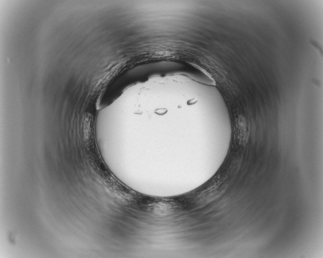 X0000102270412200808151909