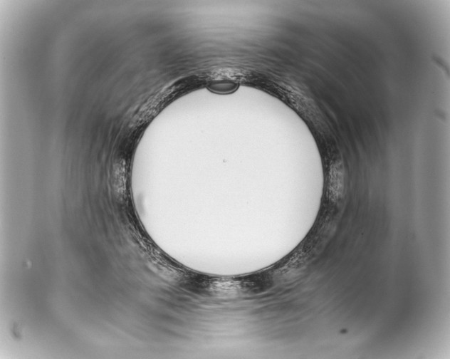 X0000102270413200808151909