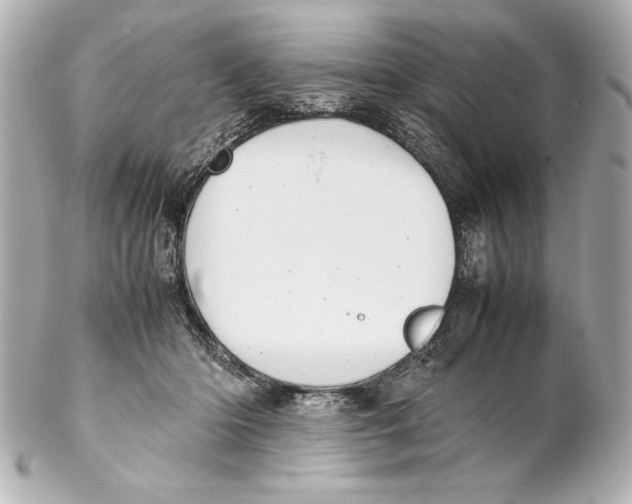 X0000102270414200808151909