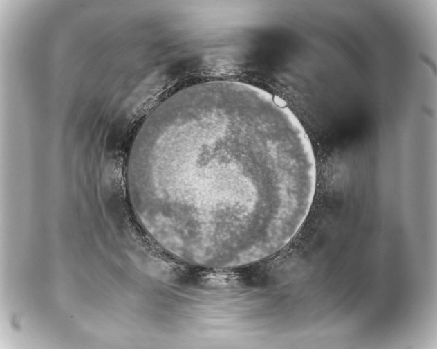 X0000102270415200808151909