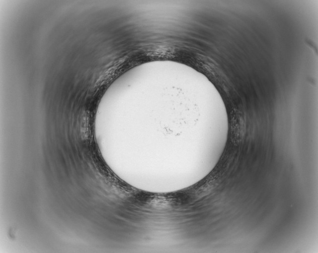 X0000102270416200808151909