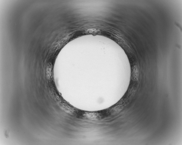 X0000102270417200808151909