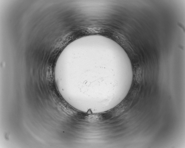 X0000102270418200808151909