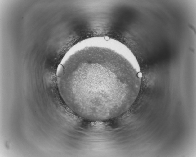 X0000102270419200808151909