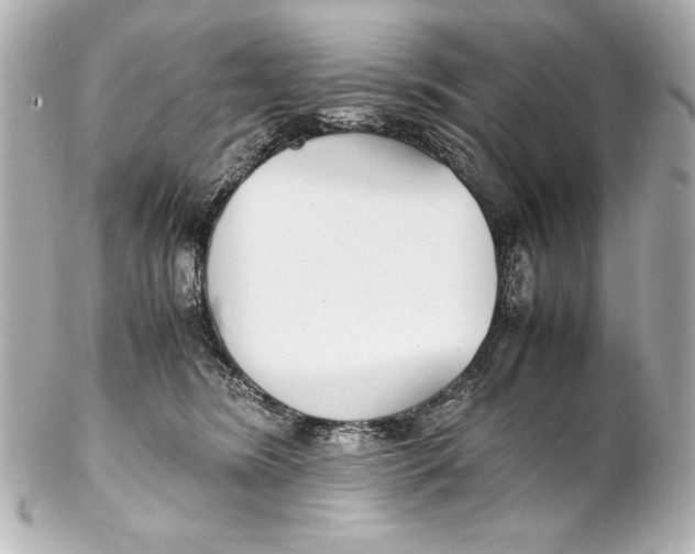 X0000102270420200808151909