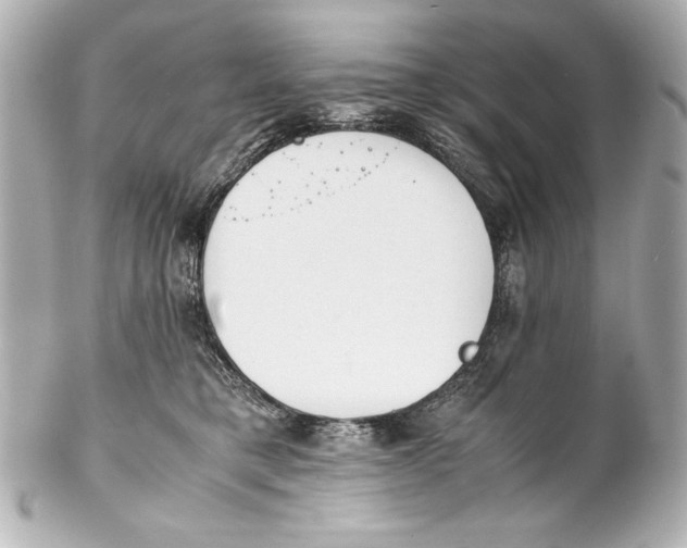 X0000102270421200808151909