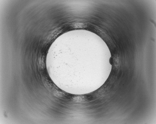 X0000102270422200808151909