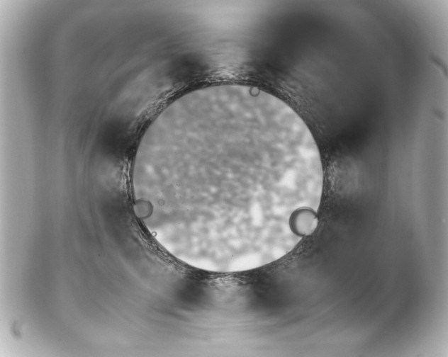 X0000102270423200808151909