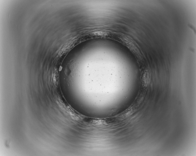 X0000102270424200808151909