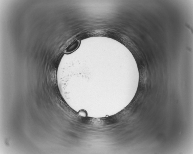 X0000102270425200808151908