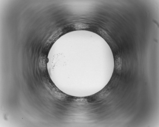 X0000102270426200808151908