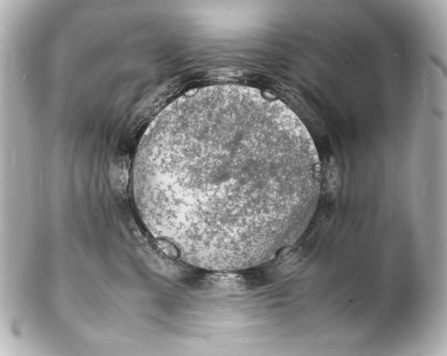 X0000102270427200808151908