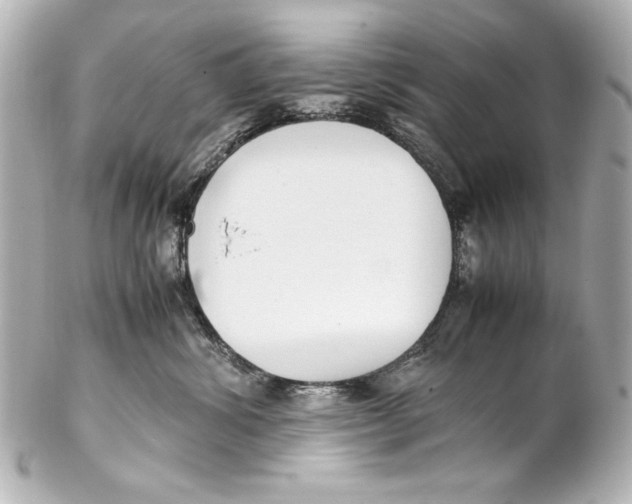 X0000102270428200808151908