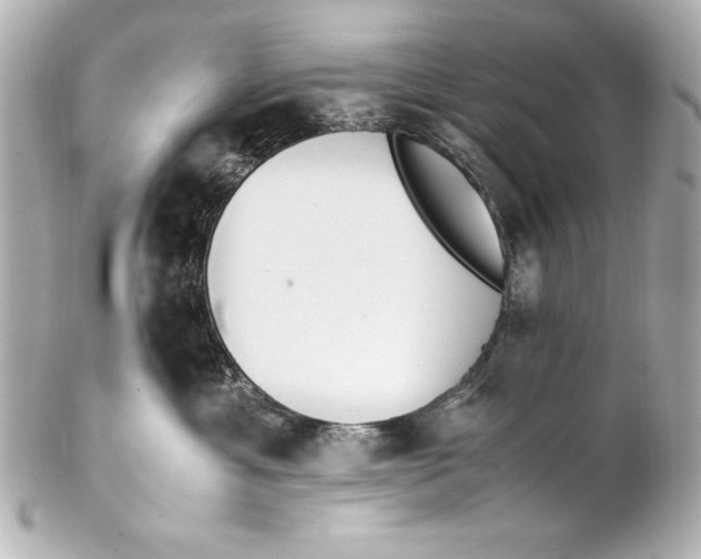 X0000102270429200808151908