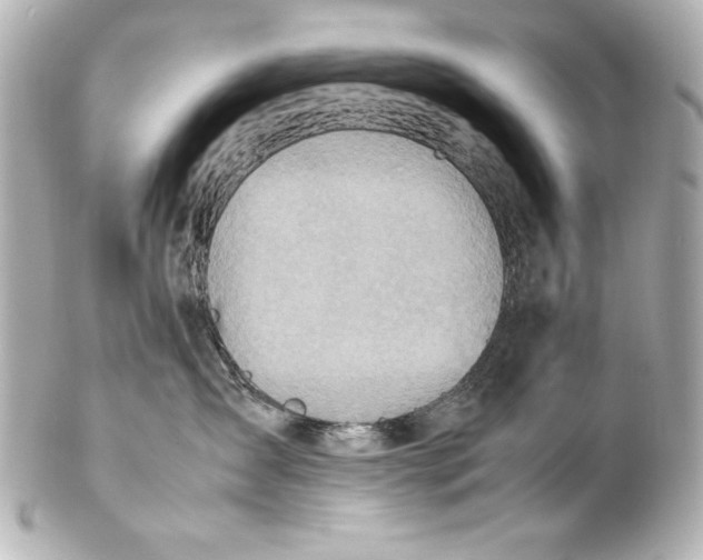 X0000102270431200808151908