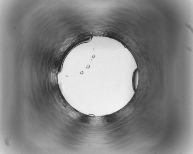 X0000102270432200808151908