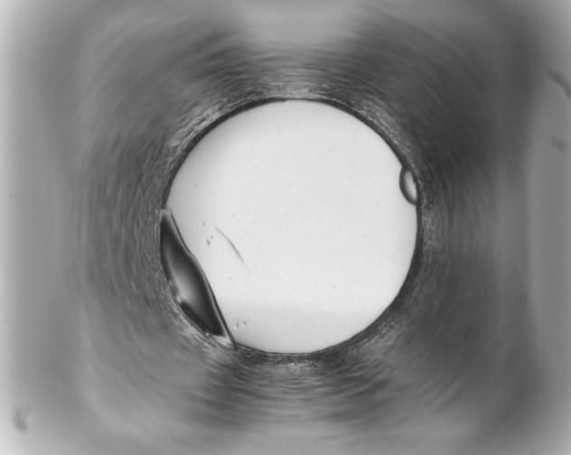 X0000102270433200808151908