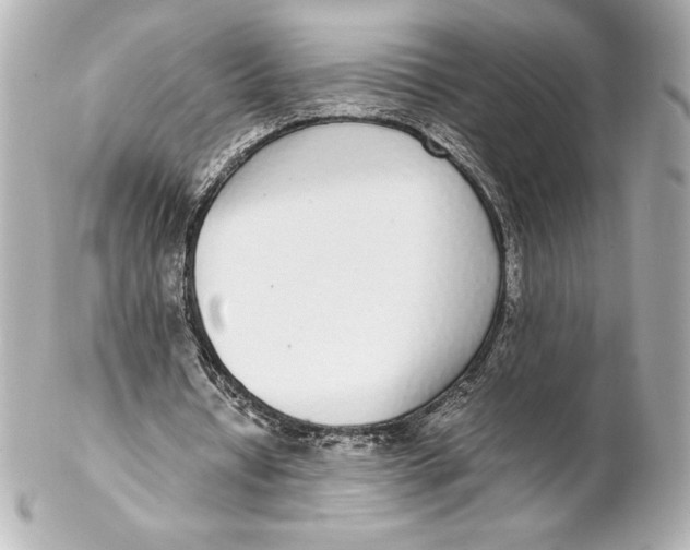 X0000102270434200808151908