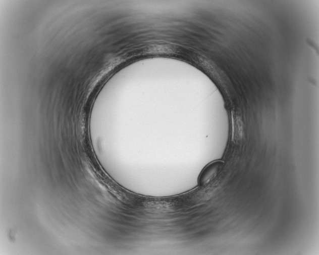 X0000102270435200808151908