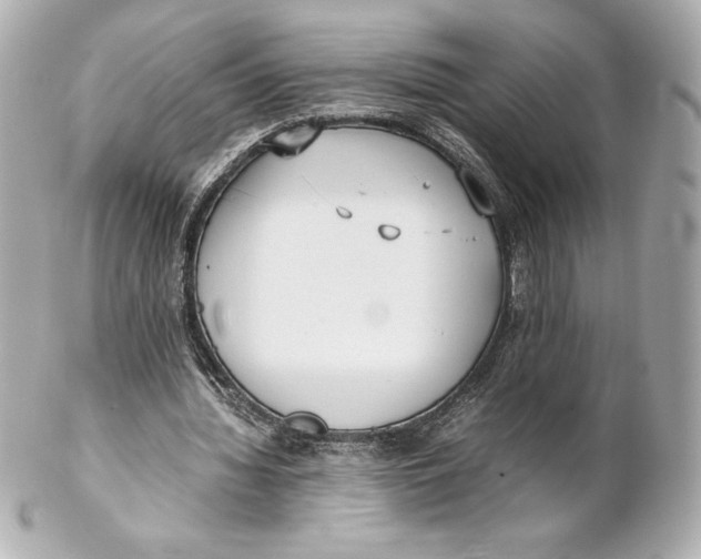 X0000102270436200808151908