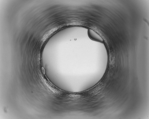 X0000102270437200808151908