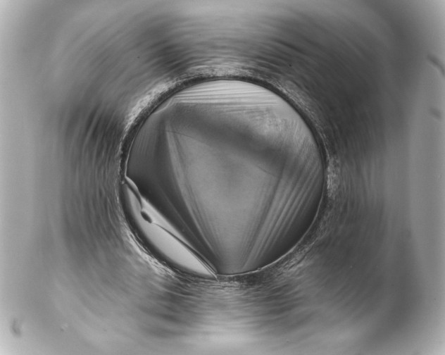 X0000102270438200808151908