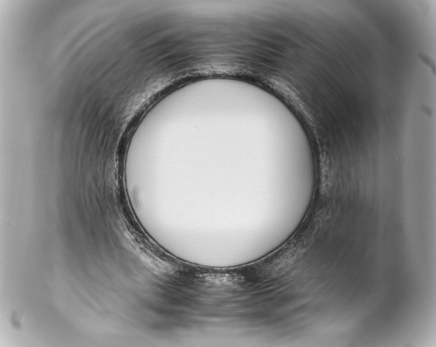 X0000102270439200808151908