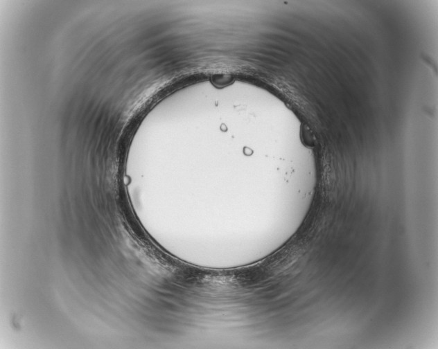 X0000102270440200808151908