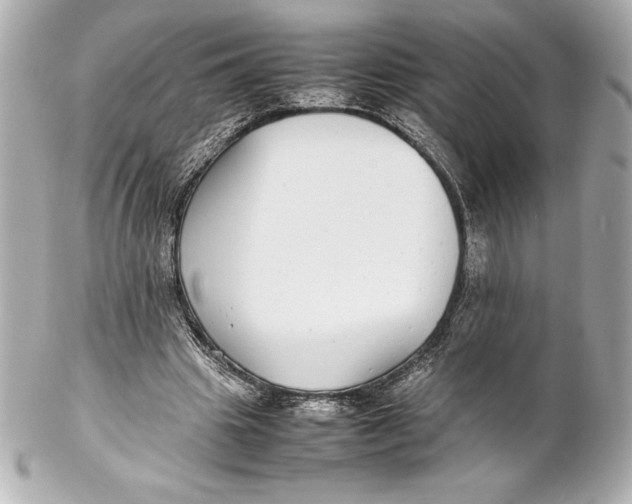 X0000102270441200808151908