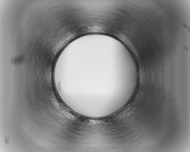 X0000102270442200808151908