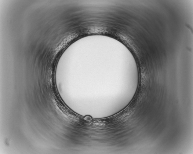 X0000102270443200808151908