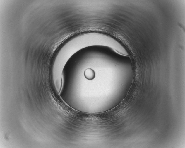 X0000102270444200808151908