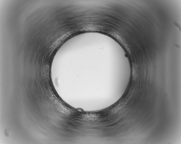 X0000102270445200808151908