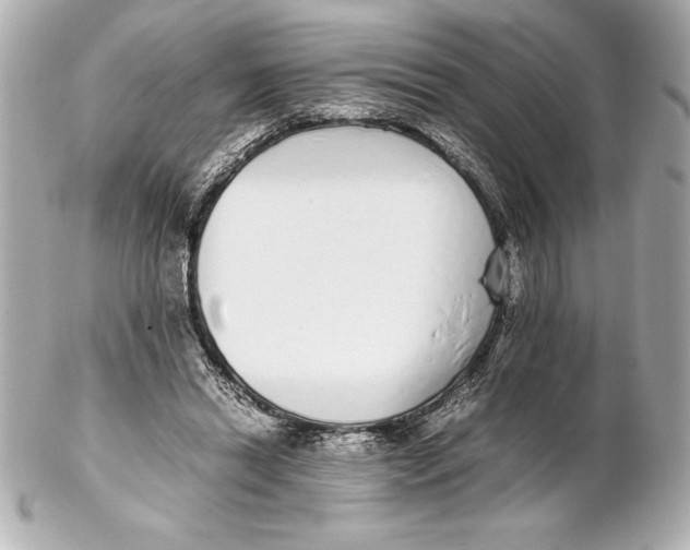 X0000102270446200808151908