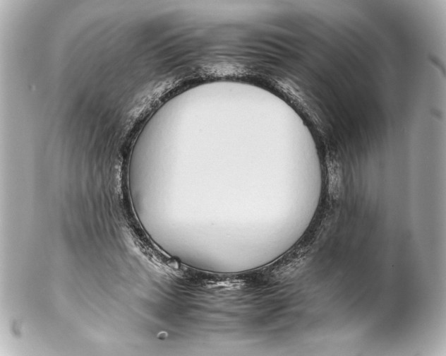 X0000102270447200808151908