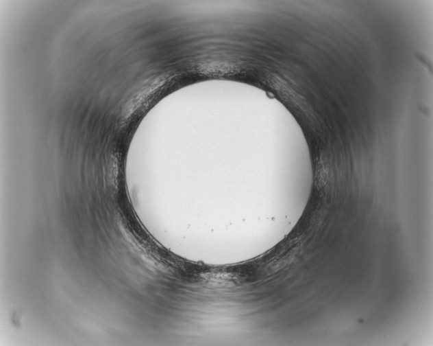 X0000102270448200808151908